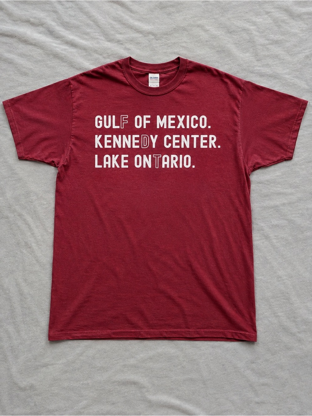 Lake Ontario Vintage Graphic T-Shirt Great Lakes Tee
